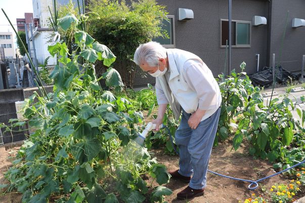植物に水やりする様子