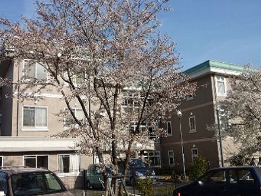 桜並木と施設の外観