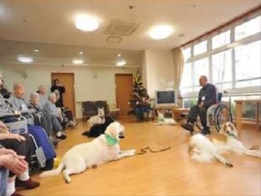 癒しの動物と利用者