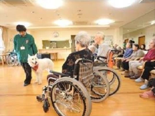 犬と触れ合う住居者