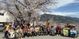 満開の桜と集う人々