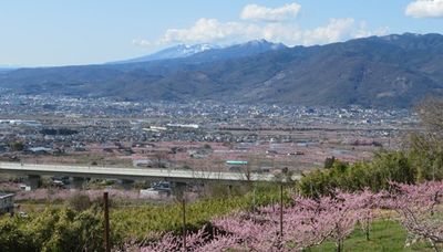 山と花のある風景