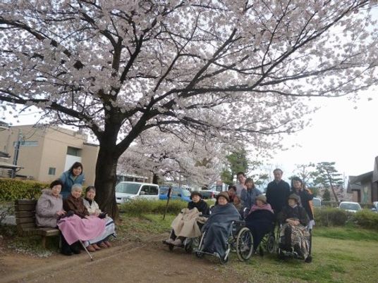 桜下で憩う方々