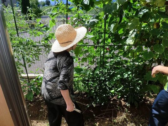 庭で植物を手入れする様子