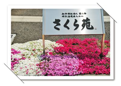 花壇に立つ看板  