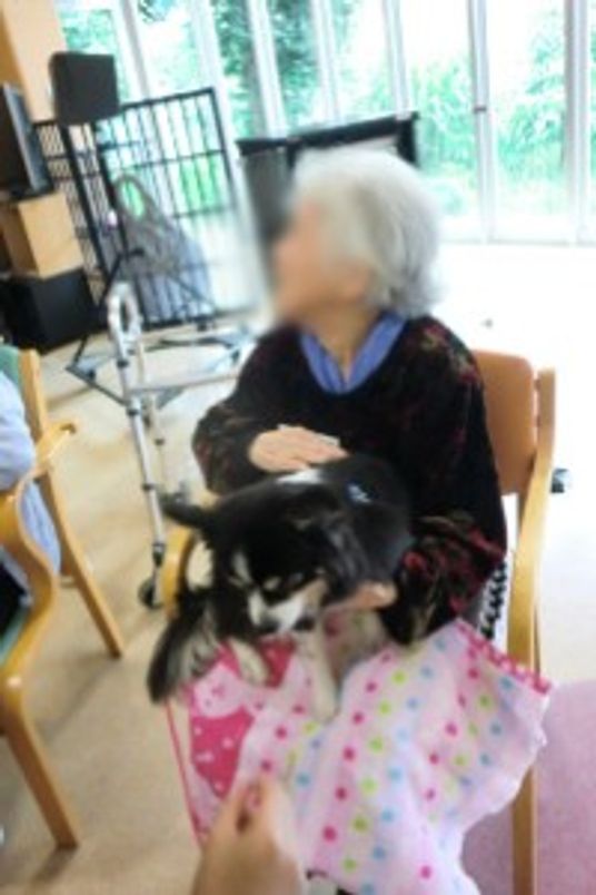 ペットとふれあう入居者