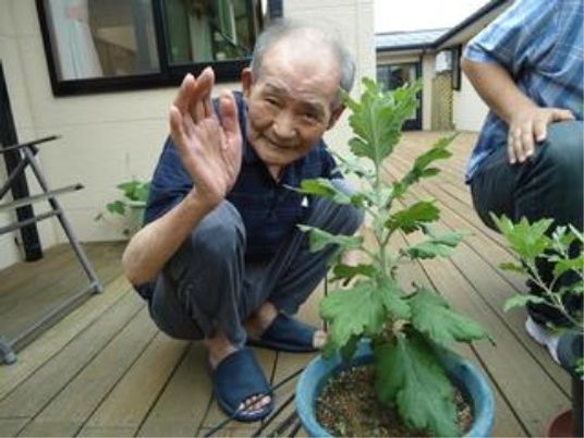笑顔のおじいさんと植物