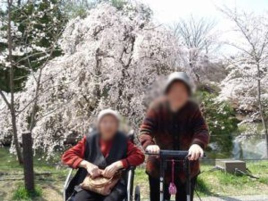 車椅子と散歩道の庭