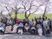 桜と共に笑顔の集合