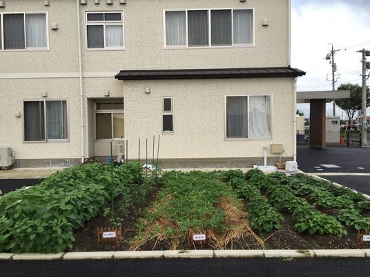 家庭菜園のある建物