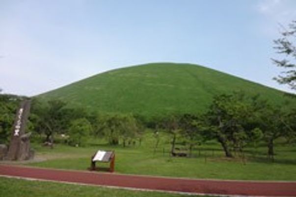 緑豊かな庭園