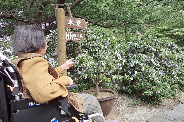花に囲まれた庭