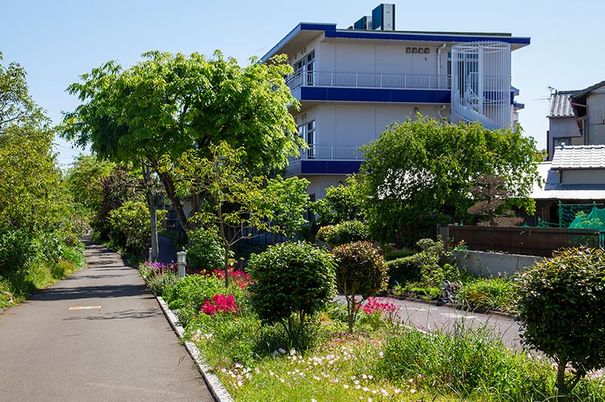緑豊かで静かな外観