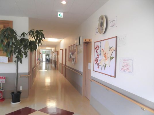 廊下に掲示物と植物