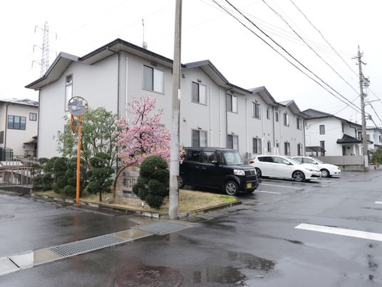 桜の木のある建物前景
