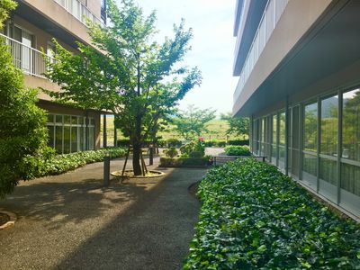 緑豊かな中庭